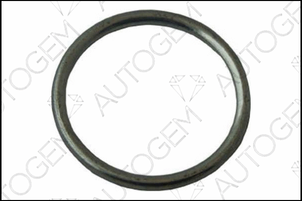 Seal Ring, exhaust pipe (CEG253)
