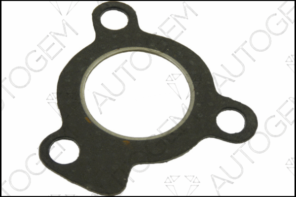 Gasket, exhaust pipe (EGA875)