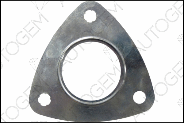Gasket, exhaust pipe (CEG364)