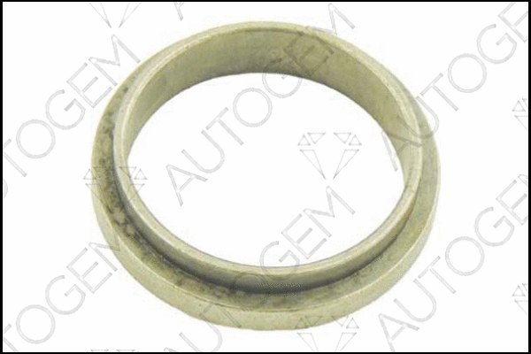 Seal Ring, exhaust pipe (EG30)