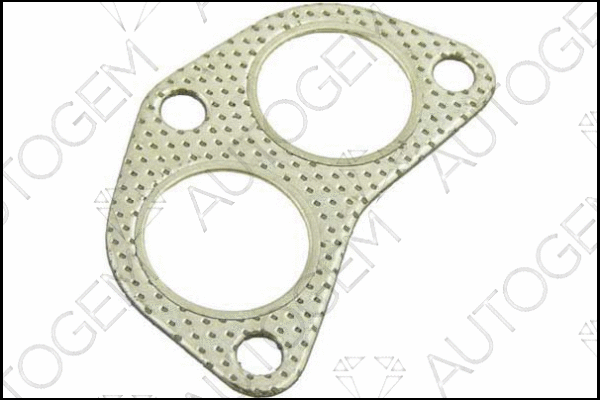 Gasket, exhaust pipe (EG65)