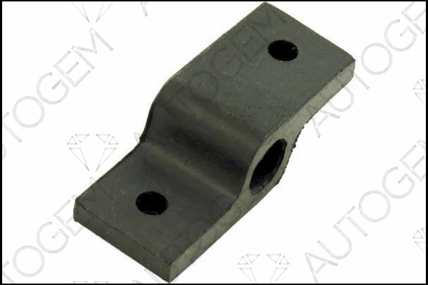 Mount, exhaust system (CSM40)