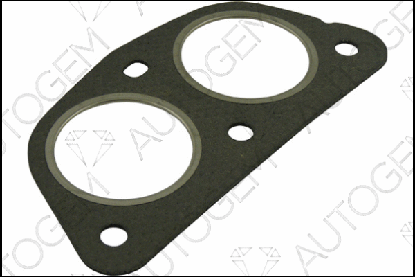 Gasket, exhaust pipe (CEG4431)