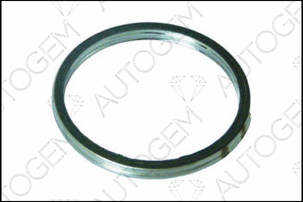 Seal Ring, exhaust pipe (CEG6404)