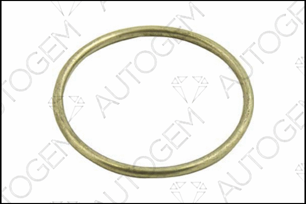 Seal Ring, exhaust pipe (CEG60)