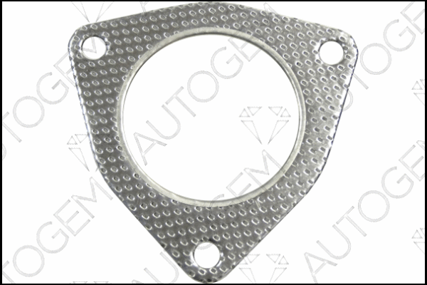 Gasket, exhaust pipe (CEG559)