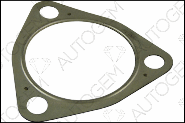 Gasket, exhaust pipe (CEG988)