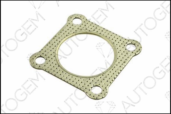 Gasket, exhaust pipe (CEG249)