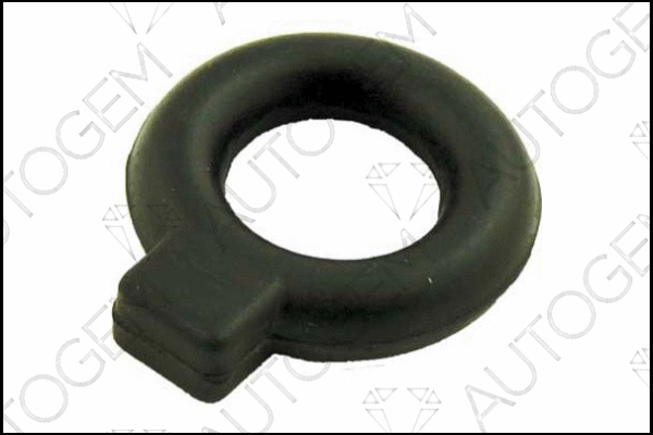 Mount, exhaust system (CSM94)