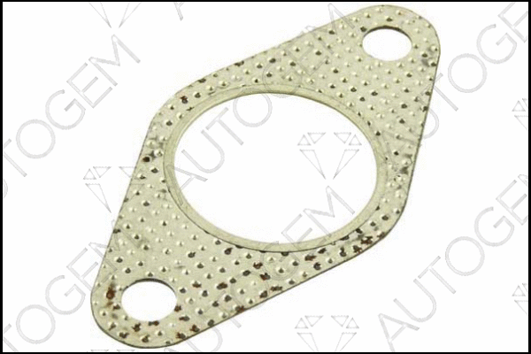 Gasket, exhaust pipe (CEG269)