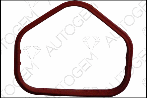 Gasket, intake manifold (CSM4512)