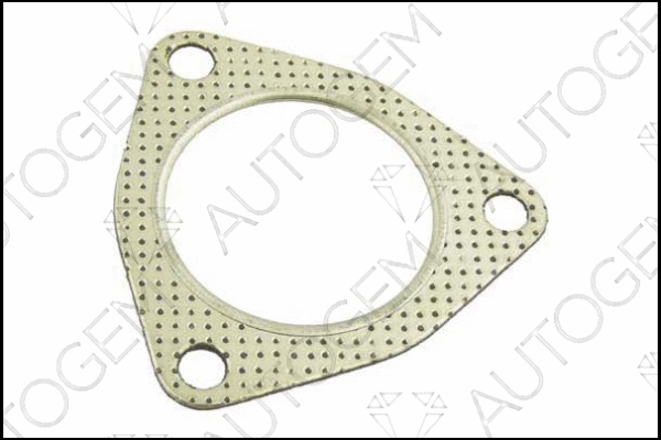 Gasket, exhaust pipe (EG97)