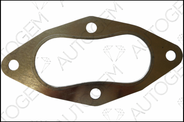 Gasket, exhaust pipe (CEG770)