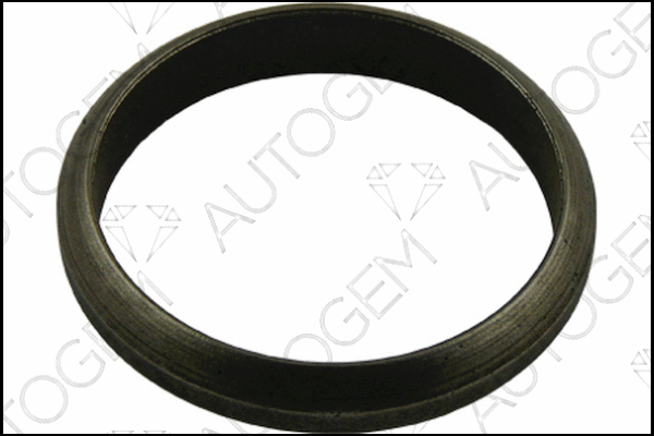 Seal Ring, exhaust pipe (CEG4404)