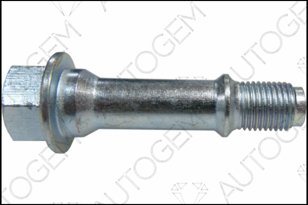 Bolt, exhaust system (EMS77)