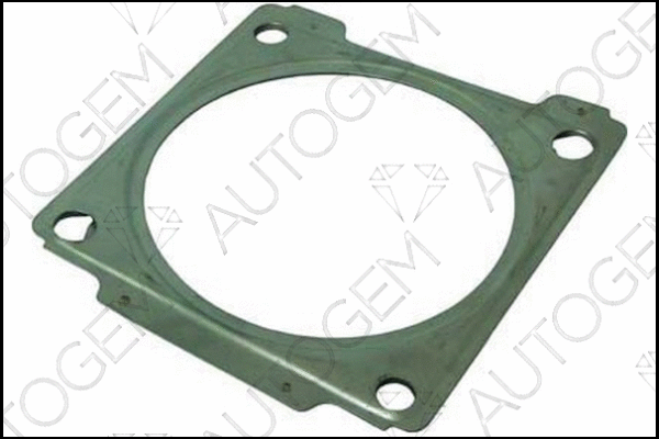 Gasket, exhaust pipe (CEG494)