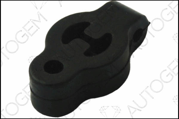 Mount, exhaust system (CSM307)