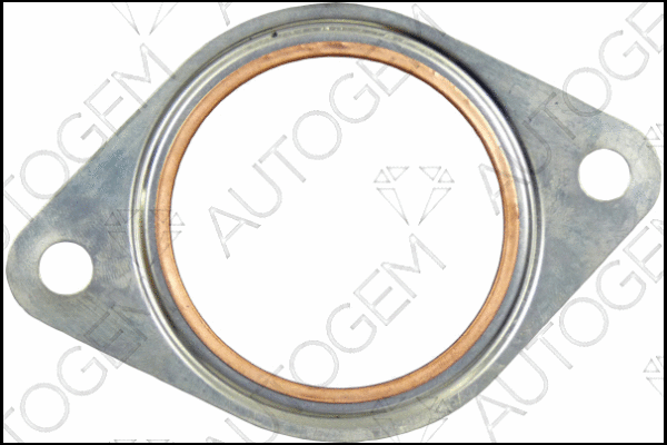Gasket, exhaust pipe (CEG5420)