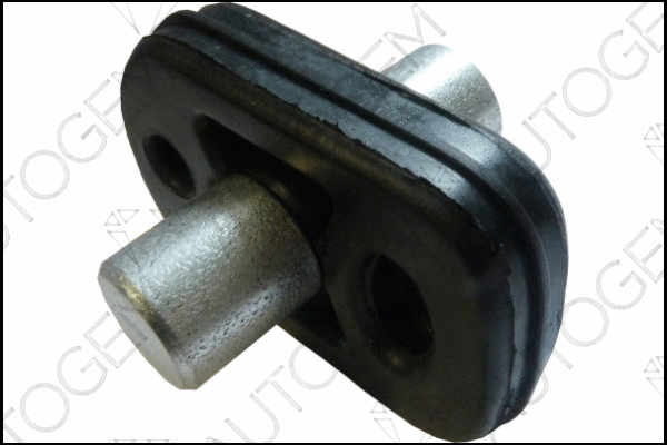 Mount, exhaust system (CSM291)