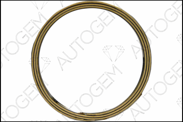 Seal Ring, exhaust pipe (CEG353)