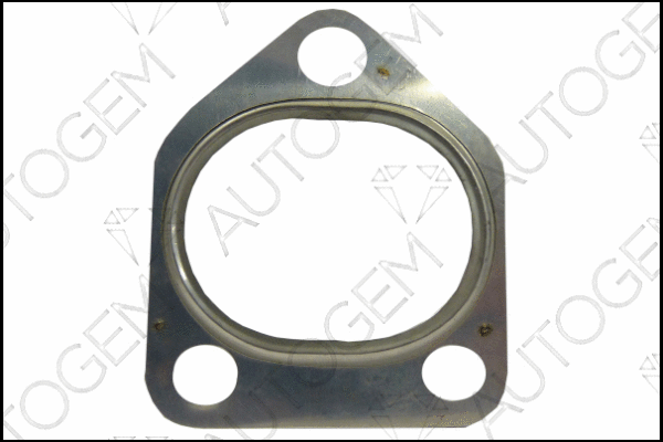 Gasket, exhaust pipe (CEG4437)