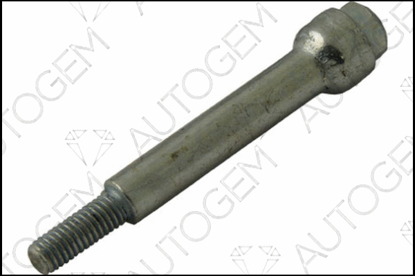 Bolt, exhaust system (EMS65)