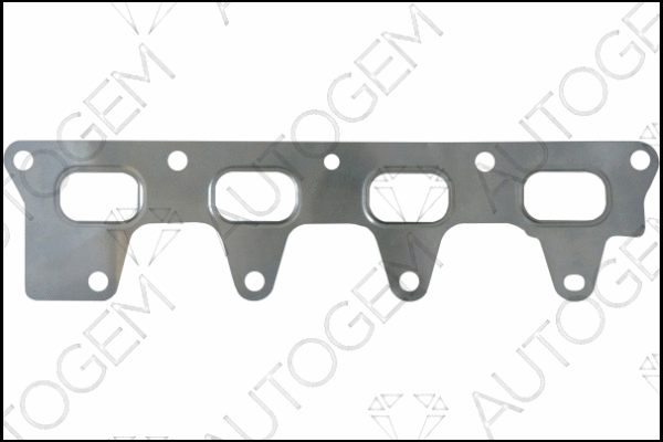 Gasket, exhaust manifold (MG819)