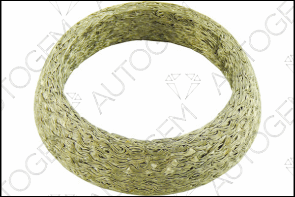 Seal Ring, exhaust pipe (CEG854)