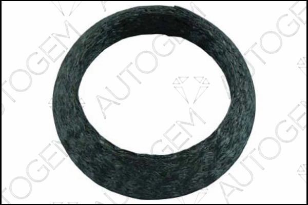 Seal Ring, exhaust pipe (CEG458)