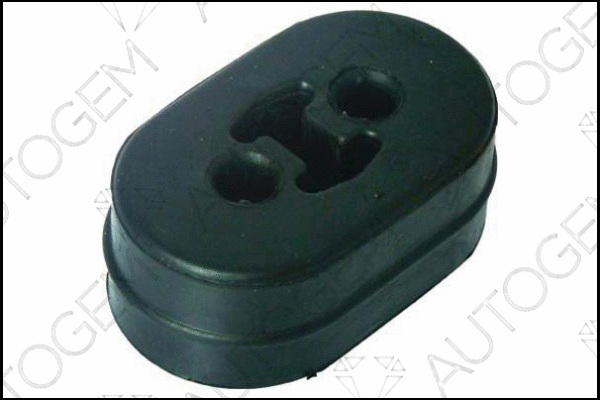 Mount, exhaust system (CSM699)