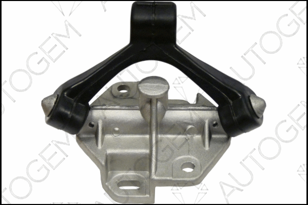 Mount, exhaust system (CSM964)