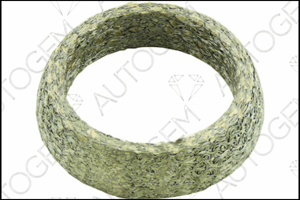 Seal Ring, exhaust pipe (CEG181)