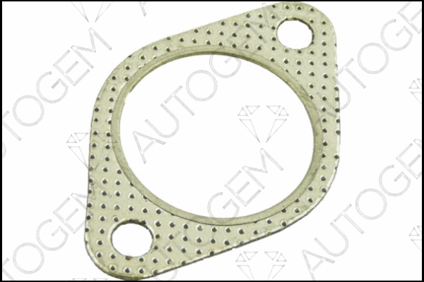Gasket, exhaust pipe (CEG508)