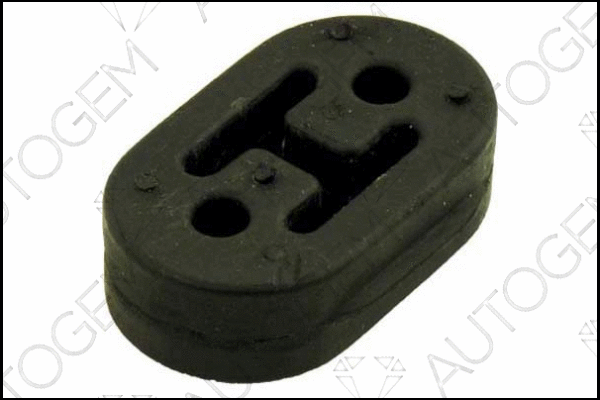 Mount, exhaust system (CSM55)