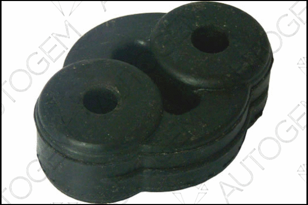 Mount, exhaust system (CSM616)