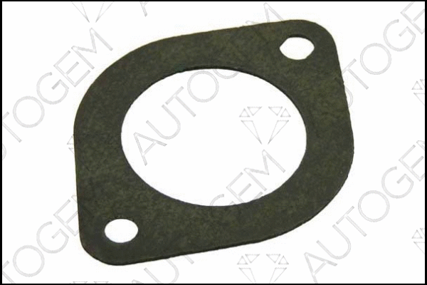 Gasket, exhaust pipe (CEG228)