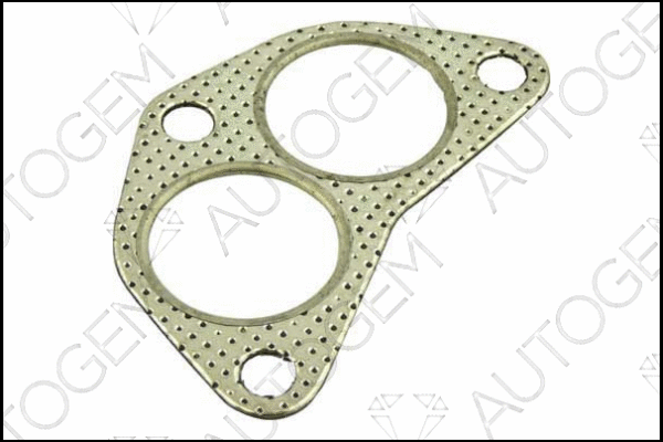 Gasket, exhaust pipe (CEG190)