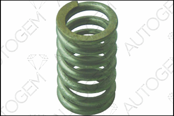 Spring, muffler (CSC1171)