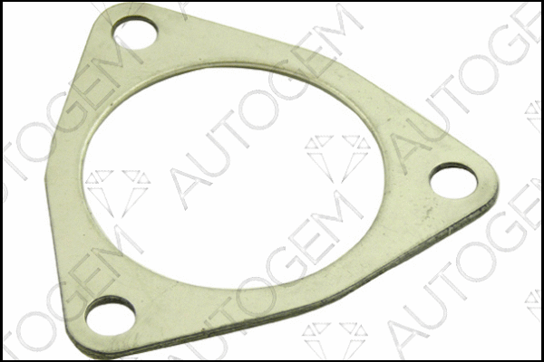 Gasket, exhaust pipe (CEG974)