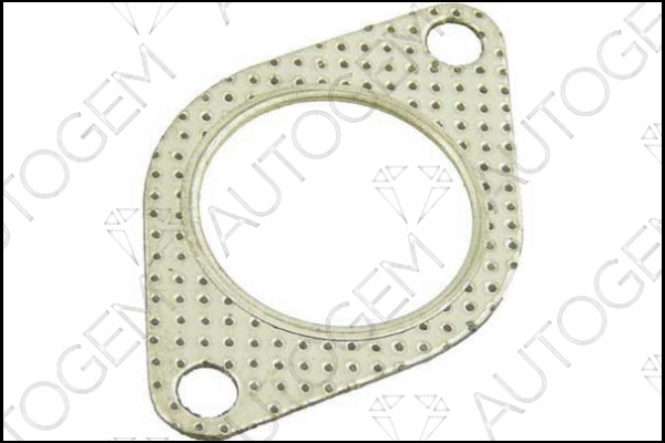 Gasket, exhaust pipe (EG78)