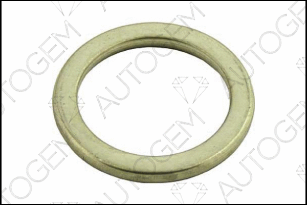 Seal Ring, exhaust pipe (CEG24)