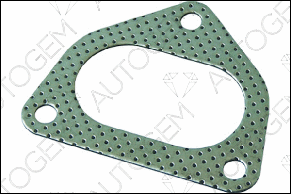 Gasket, exhaust pipe (CEG9952)