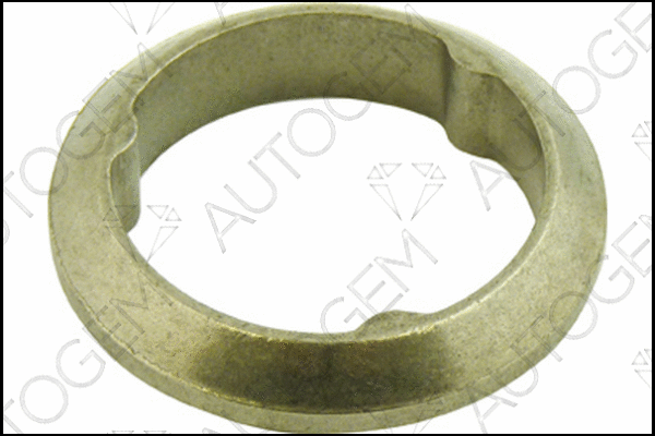 Seal Ring, exhaust pipe (CEG147)