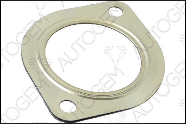 Gasket, exhaust pipe (CEG7522)