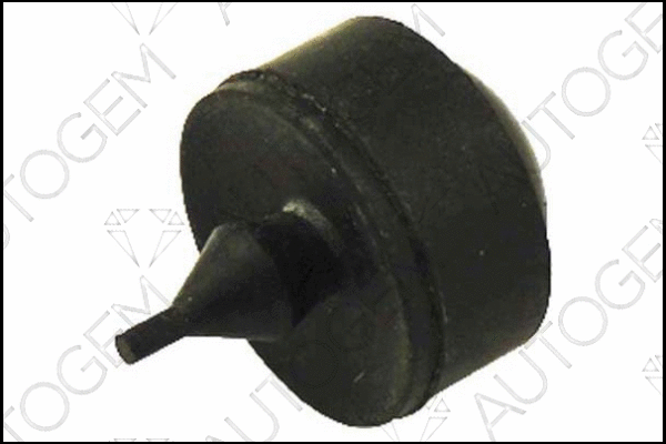 Mount, exhaust system (CSM148)