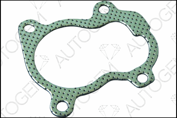 Gasket, exhaust pipe (CEG717)