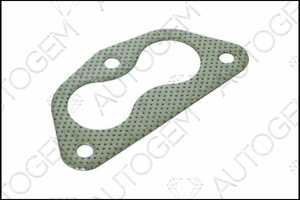 Gasket, exhaust pipe (CEG6406)