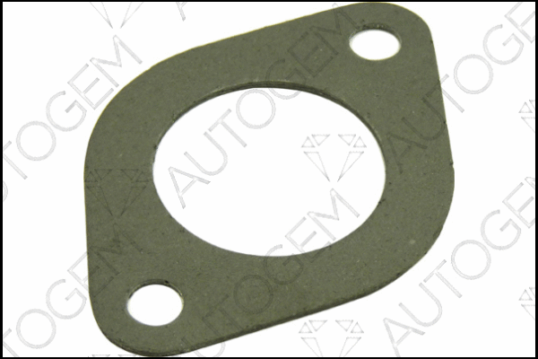 Gasket, exhaust pipe (CEG25)