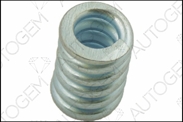 Spring, muffler (CSC178)