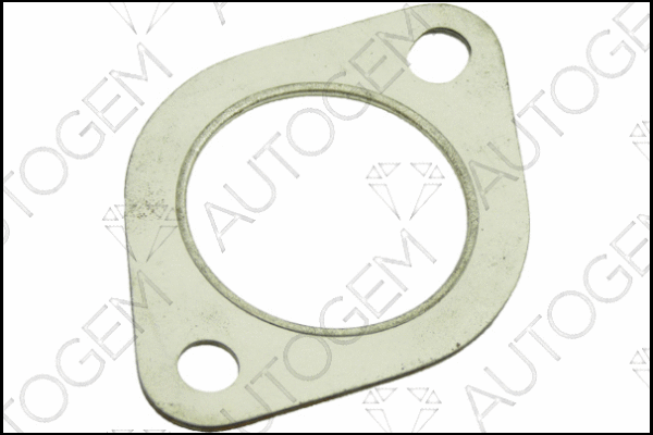 Gasket, exhaust pipe (EG45)